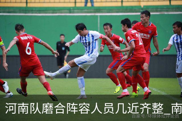 河南队磨合阵容人员几近齐整 南基一剑指中超前六